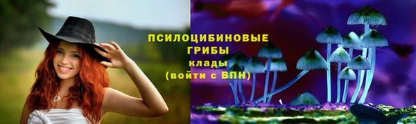 2c-b Алексеевка